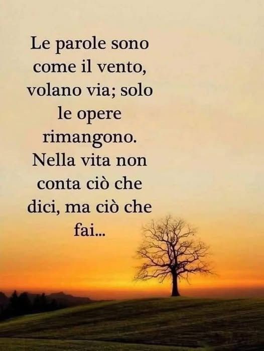 502903021_1265998722193298_1307351429804726037_n